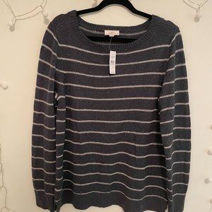 NWT Navy Blue Shimmer Striped Sweater